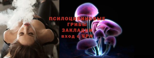 дживик Белокуриха