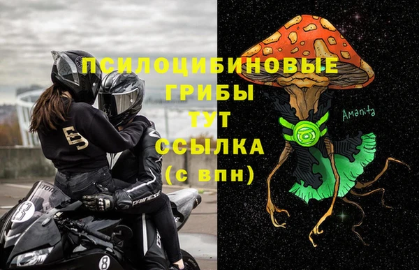 apvp Беломорск