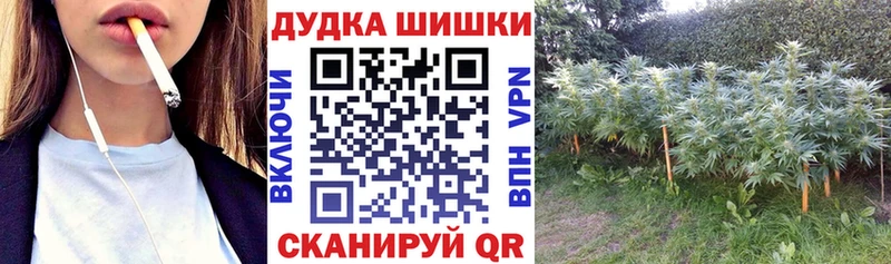 наркота  Ленинск  ссылка на мегу tor  Бошки Шишки конопля 
